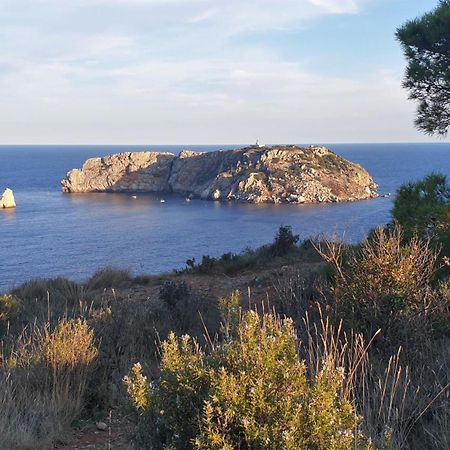 Apartamentos La Masia L'Estartit Buitenkant foto